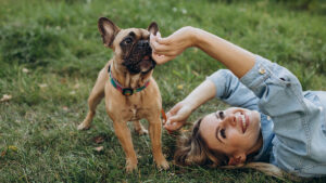 Spring Cleaning for Dog Owners: Centre Poop Scoop